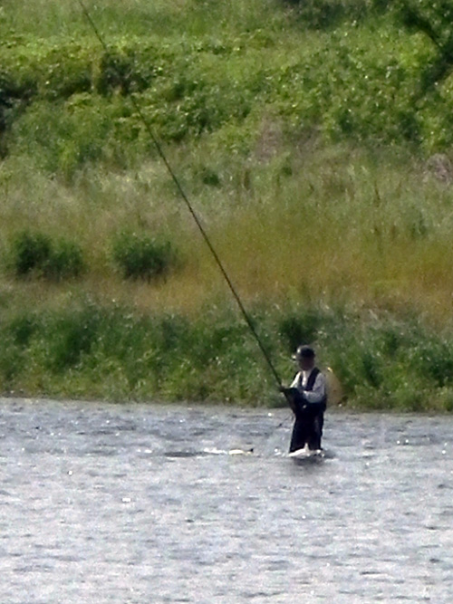 多摩川日記 「アユの試し釣り」_f0196649_1665020.jpg