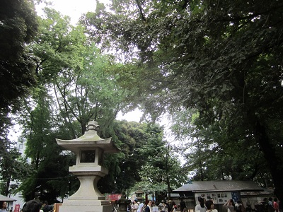 d0158258_83114.jpg