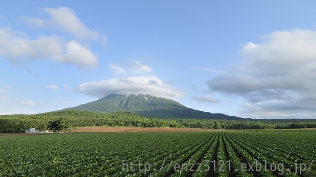 「青空がそこに・・・」6月21日今日のショット_d0019260_2343123.jpg