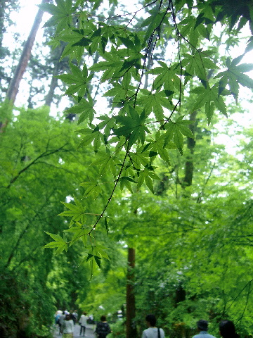 ～雨上がりの石山寺～_e0086864_2324954.jpg