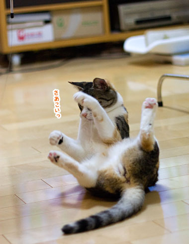 跳べるんです_a0119470_1194580.jpg
