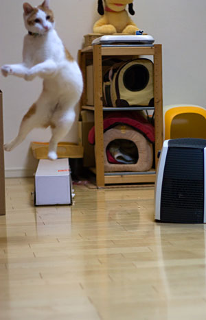 跳べるんです_a0119470_1201964.jpg
