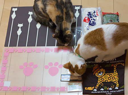 跳べるんです_a0119470_12131100.jpg