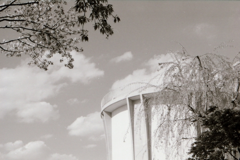 c0124773_843399.jpg