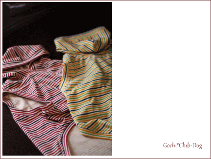d0108880_13415617.gif