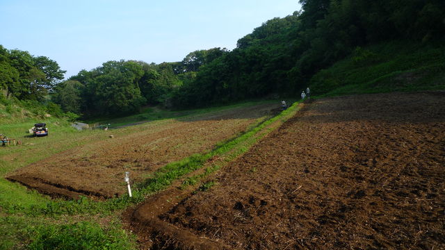 a0182281_13324239.jpg
