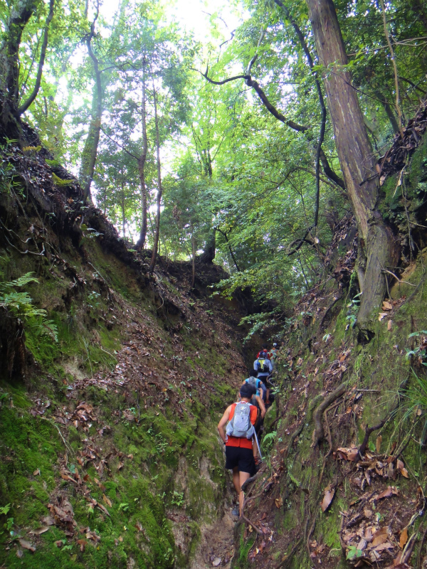 2011/06/18 Long trail session in 京都_b0220886_16363529.jpg