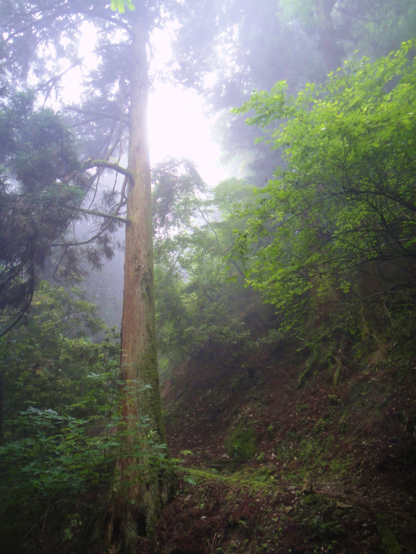 2011/06/18 Long trail session in 京都_b0220886_16435511.jpg