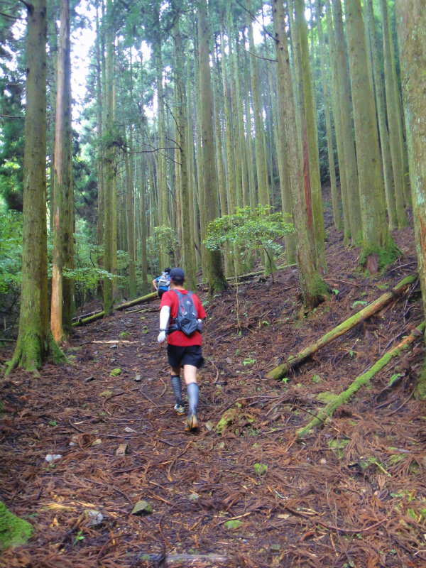2011/06/18 Long trail session in 京都_b0220886_17182163.jpg