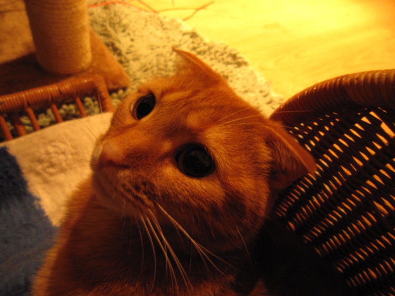 c0025187_2139275.jpg