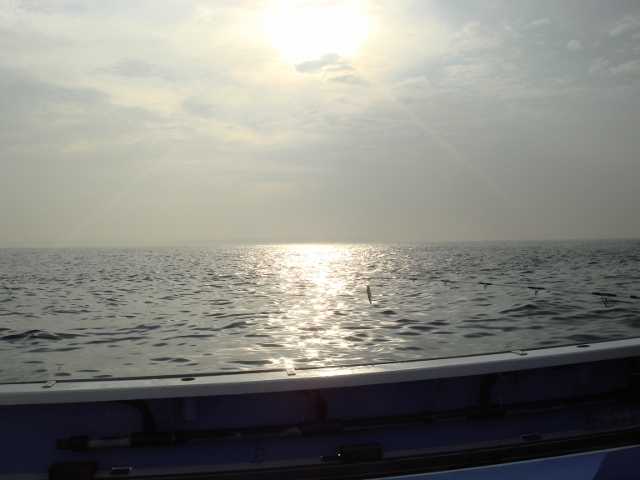 c0139388_0137.jpg