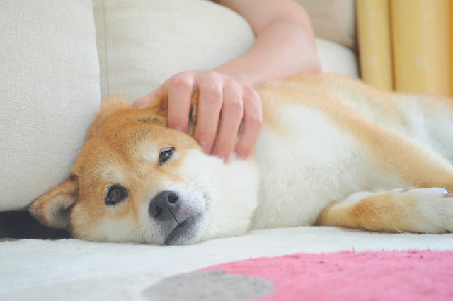久しぶり_a0126590_5453947.jpg