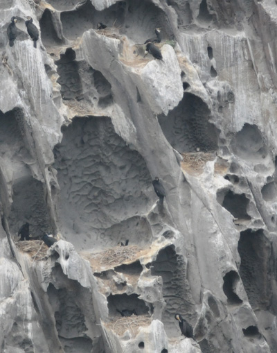 f0159390_1774045.jpg
