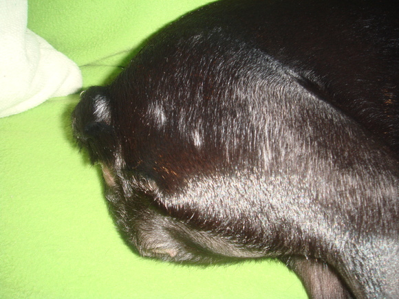 d0218999_2246947.jpg