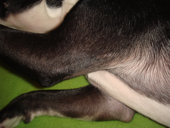 d0218999_22473066.jpg