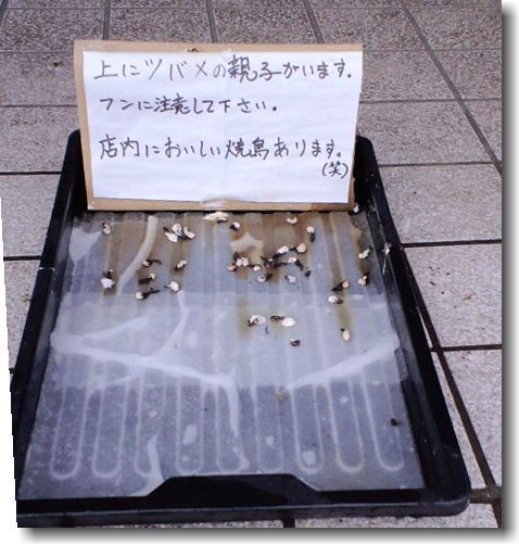 e0014000_84589.jpg