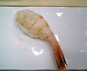 北海シマエビ!_b0025511_1484010.jpg