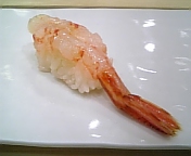北海シマエビ!_b0025511_1484034.jpg