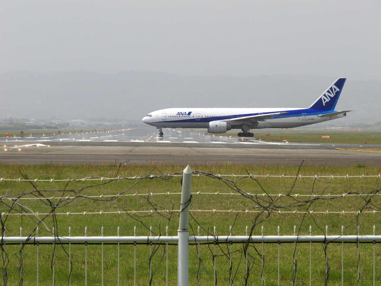 e0132718_1630207.jpg