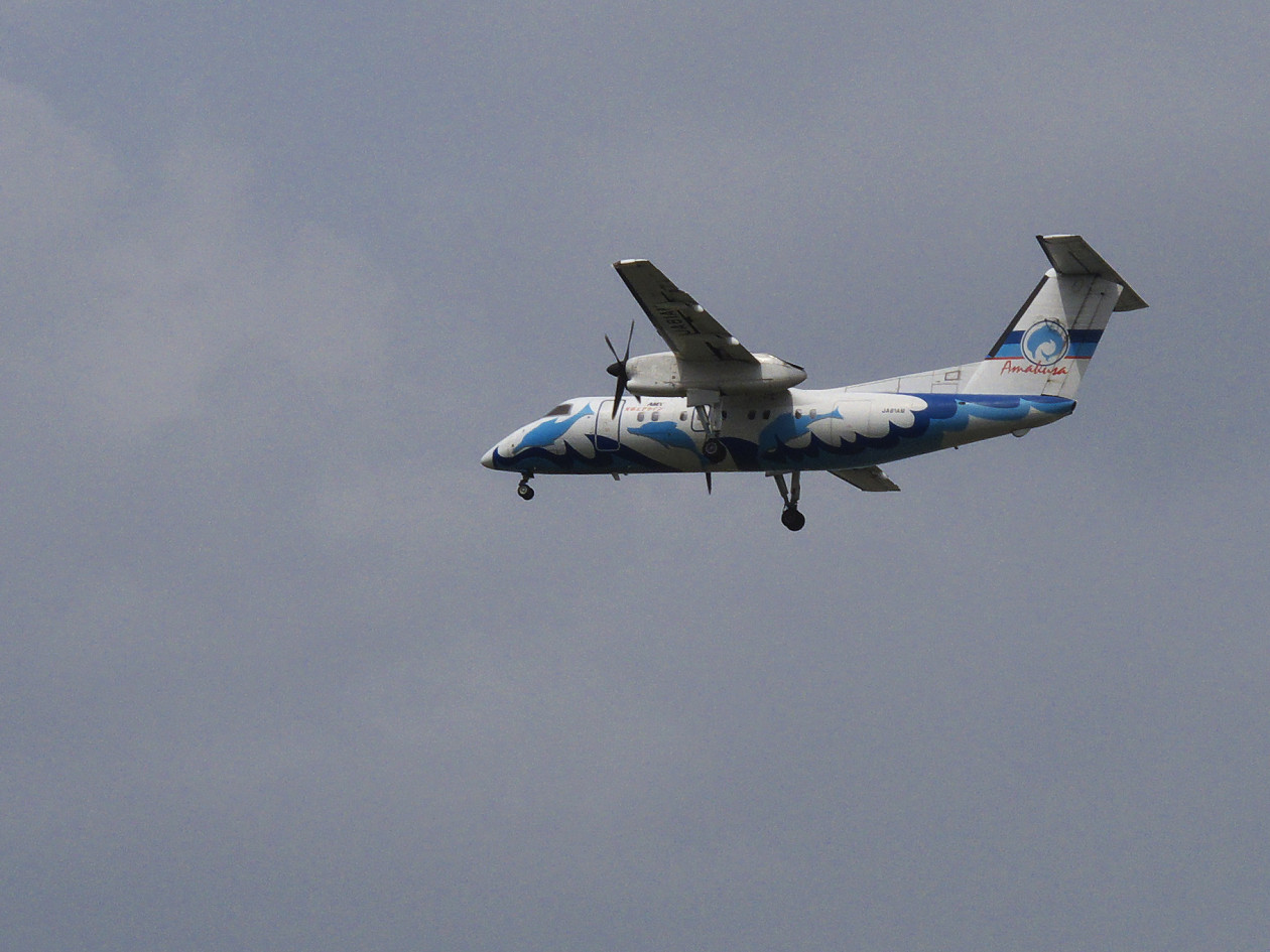 e0132718_1634971.jpg