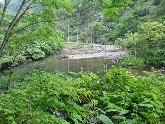 山の神の渓の夜明け_e0147226_22345379.jpg