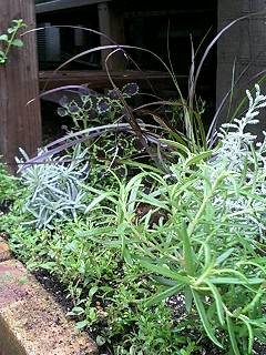 b0224629_1236173.jpg