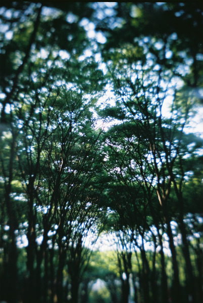 e0146031_20265534.jpg