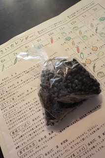 堀内亜理子さんの辞書弁_b0132444_14142728.jpg