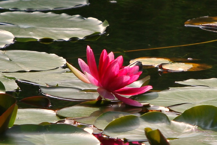 b0211545_01448.jpg