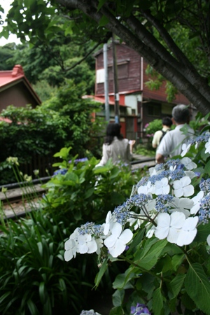 a0167750_10133534.jpg