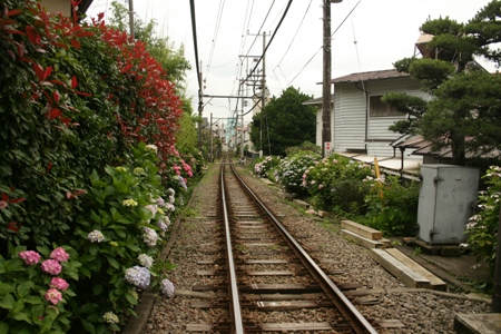 a0167750_10184841.jpg