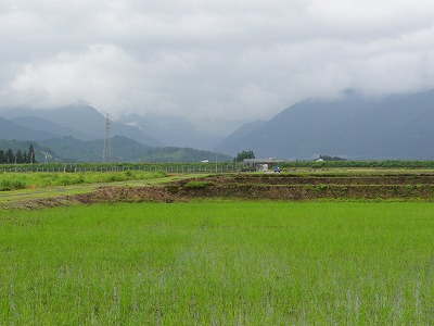 露に入ったでしょうか_a0084753_1752871.jpg