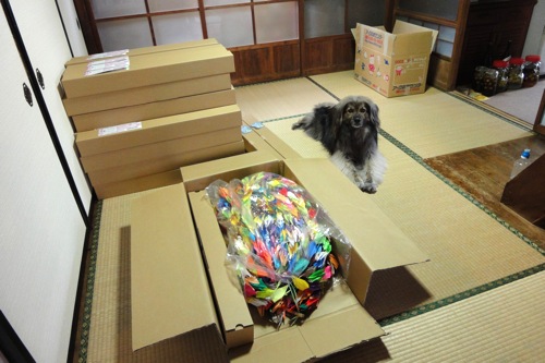 桜プロジェクト〜日本中から被災地へメッセージ_f0054859_21373668.jpg