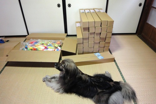 桜プロジェクト〜日本中から被災地へメッセージ_f0054859_21375045.jpg