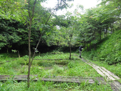 c0108460_22211718.jpg