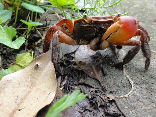 c0108460_22261851.jpg