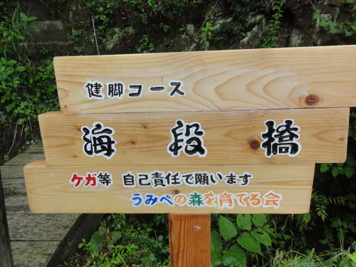 c0108460_22312818.jpg