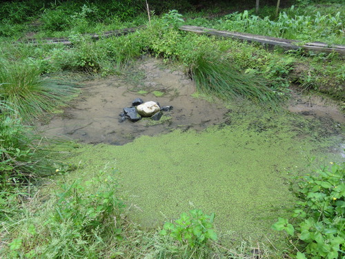 c0108460_22355964.jpg