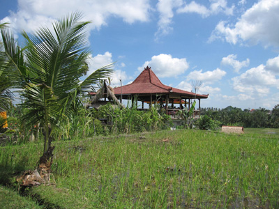 e0068460_1621198.jpg
