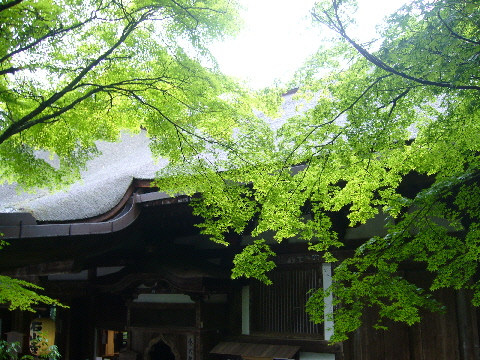 ～雨上がりの石山寺～_e0086864_173196.jpg