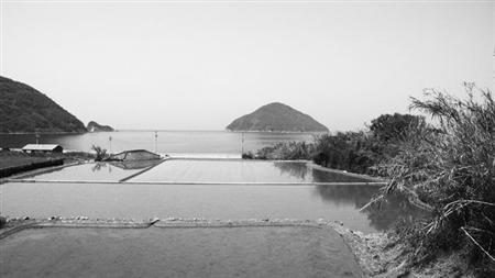 原発と闘う小さな島の30年史 山口県・祝島_c0139575_23341347.jpg