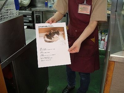 迷子の仔猫 7_a0135577_9372054.jpg