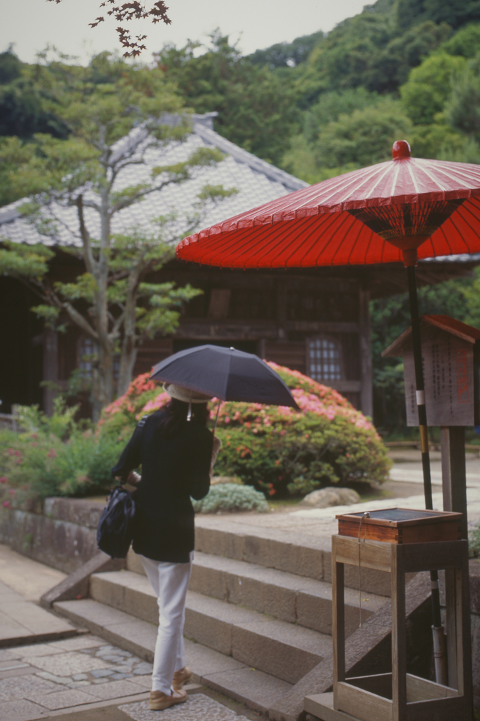 水無月の傘　　海蔵寺_e0113977_7352111.jpg