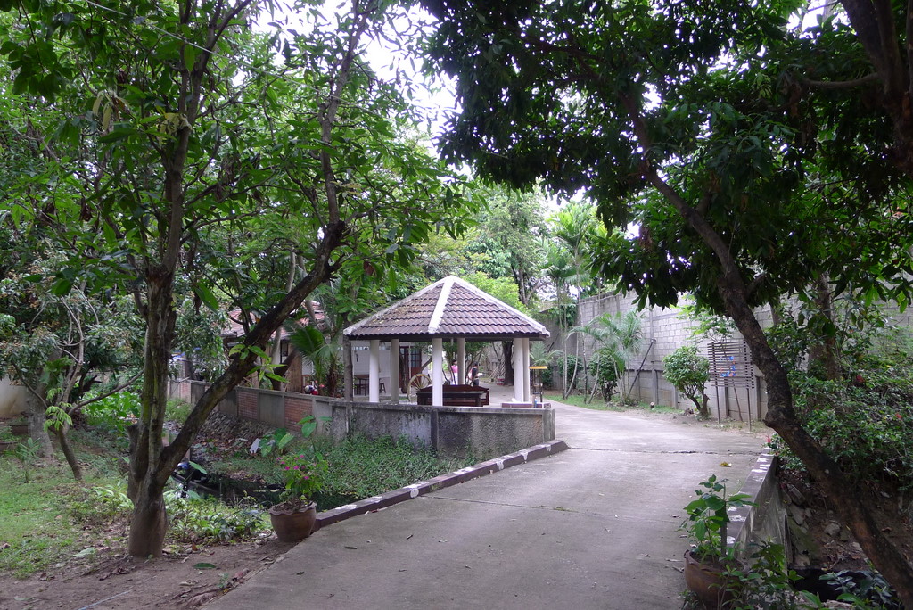 f0178278_10383843.jpg