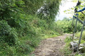 d0179679_1416171.jpg