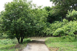 d0179679_14163610.jpg