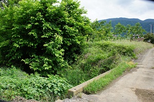 d0179679_14185513.jpg