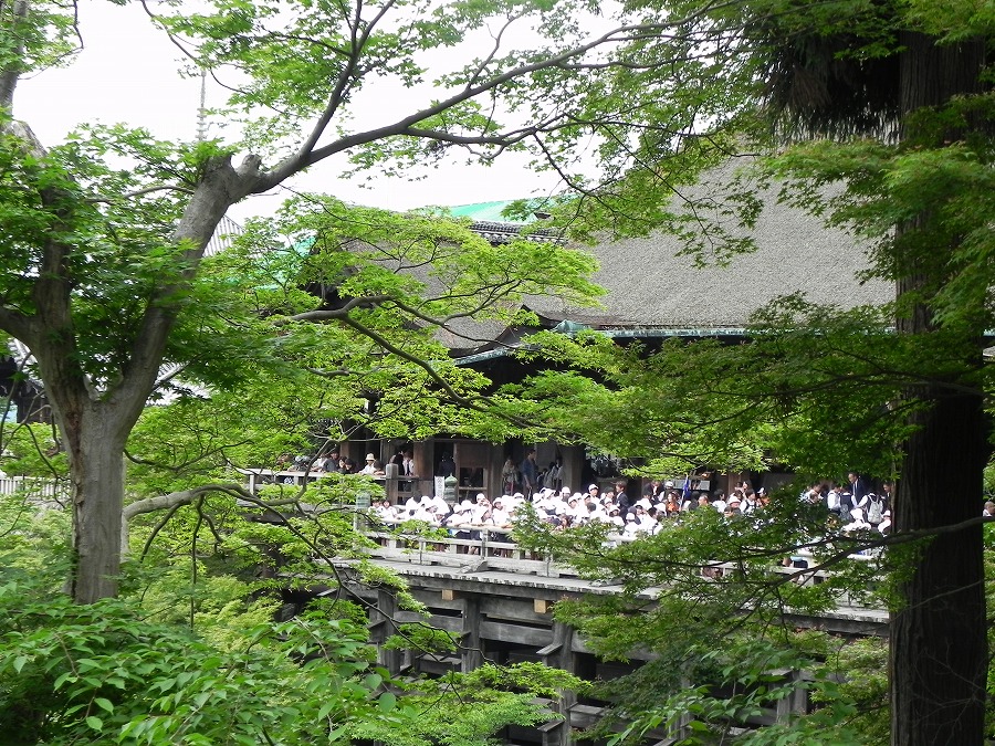 清水寺、嵯峨野_c0187781_7543398.jpg