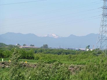 f0078286_8594342.jpg