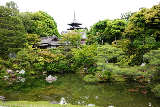 京都の神社仏閣巡り　～仁和寺～_a0127090_2153190.jpg